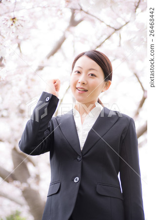 Sakura women business 26468442
