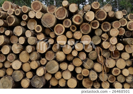 Forestry Forestry 26468501