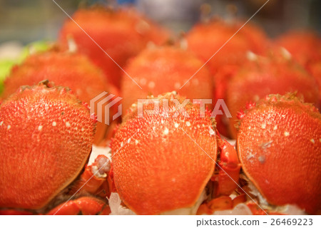Fresh Seafood crabs Fresh Seafood crabs 26469223