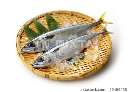 鯖魚 26469468