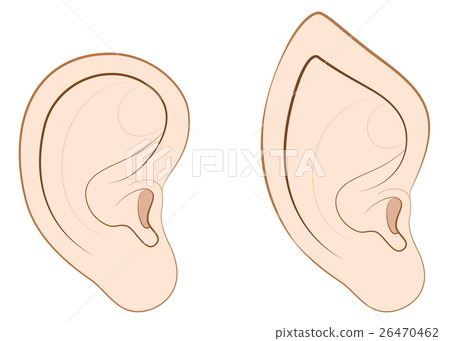 Human Ear Pointed Ear Elf Comparison Human Ear Pointed Ear Elf Comparison 26470462