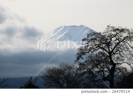 Mount Fuji and sunny days 26470514