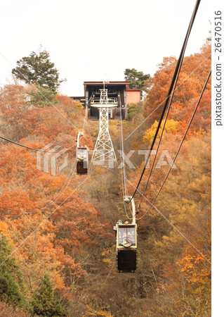 Ticking mountain ropeway and autumn leaves 26470516