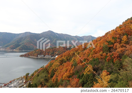 Kawaguchiko shore and autumn leaves 26470517