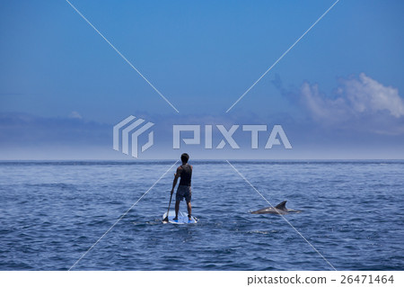 一個在小笠原海中與海豚嬉戲的人 一個在小笠原海中與海豚嬉戲的人 26471464