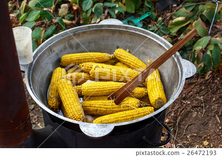 Boiled corn in big cauldron. Street food Boiled corn in big cauldron. Street food 26472193