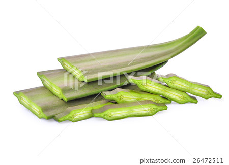 Oroxylum indicum isolated on white 26472511