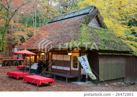 奈良公園·Mizuya Chaya 3 26472801