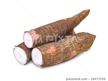 Cassava isolated on a white 26473509