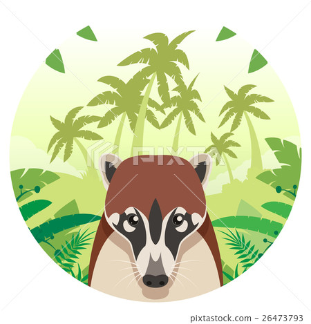Coati on the Jungle Background Coati on the Jungle Background 26473793