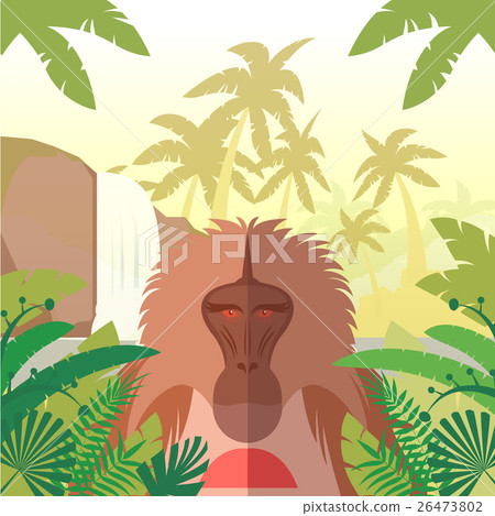 Baboon on the Jungle Background 26473802