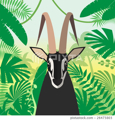 Black Buck on the Jungle Background 26473803