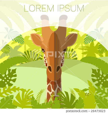 Giraffe on the Jungle Background 26473823