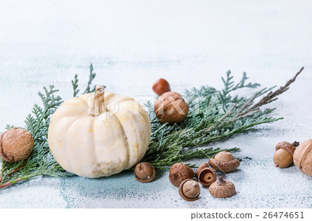 White decorative pumpkins White decorative pumpkins 26474651