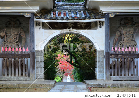 從Kawanishi寺廟滿月山門看見的秋葉 26477511