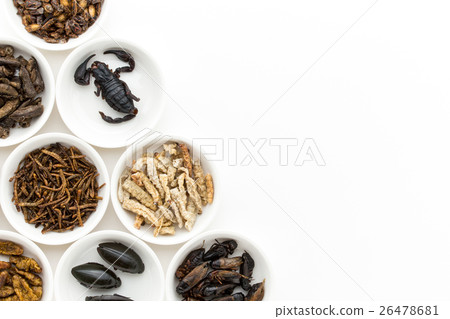 Insect food: Entomophagy 26478681