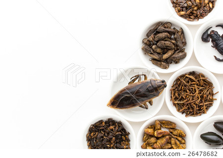 Insect food: Entomophagy 26478682