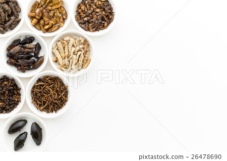 Insect food: Entomophagy 26478690