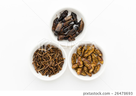 Insect food: Entomophagy 26478693