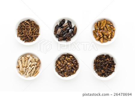 Insect food: Entomophagy 26478694