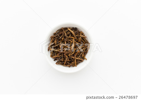 昆蟲食物:昆蟲食物 昆蟲食物:昆蟲食物 26478697