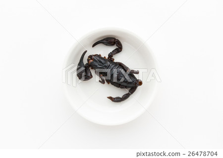 昆蟲食物：昆蟲食物 26478704