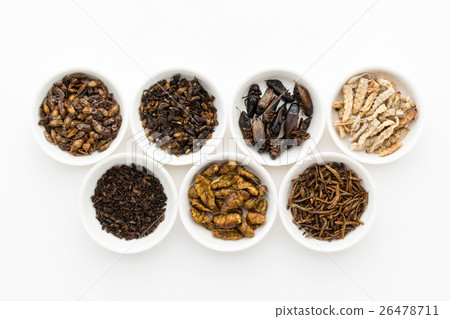 Insect food: Entomophagy 26478711