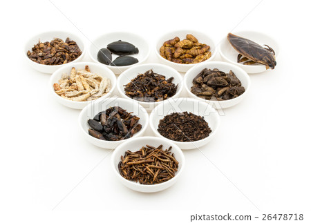 Insect food: Entomophagy 26478718