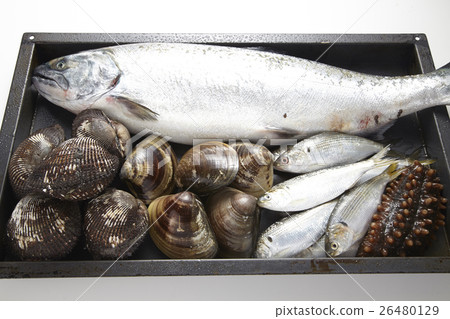 Assorted seafood Assorted seafood 26480129