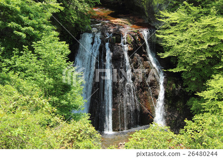 新鮮的綠色和Otaki Yokotani谷 26480244