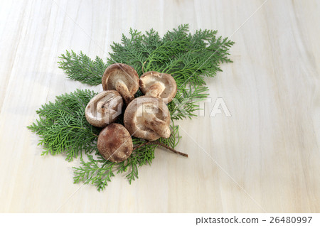 Ingredients Mushroom Shiitake 26480997