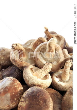 Ingredients Mushroom Shiitake 26481003