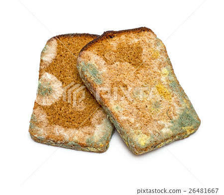 Mouldy rye bread Mouldy rye bread 26481667