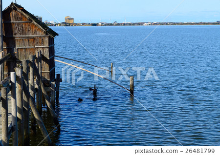 Four-tiered net and Duck of Togo Lake 26481799