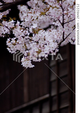Yamazakura（回到日本的房子） 26482212