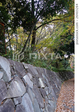 Landscape road forest Landscape road forest 26483264