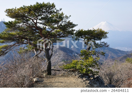 Matsu and Fuji 26484811