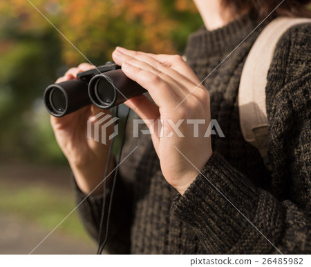 autumn 26485982