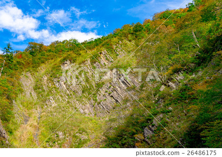 Kiyosu gig column geostatistics in early autumn 26486175