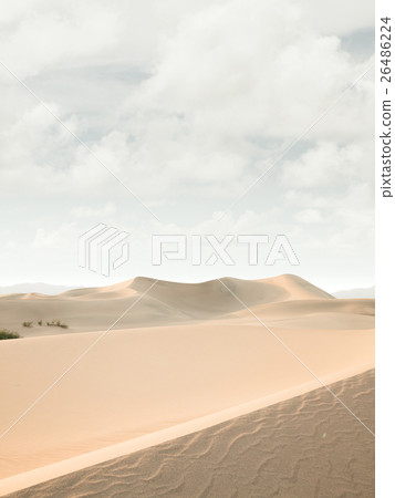 day in desert 26486224