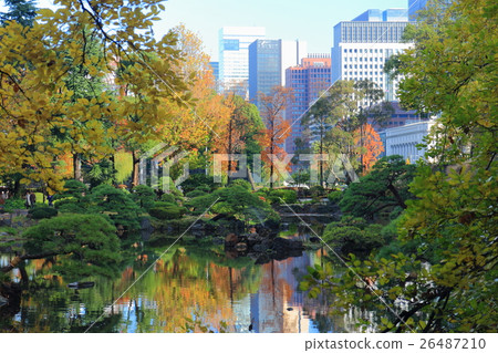 Hibiya Park Shinjuku autumn leaves and Marunouchi skyscraper 26487210