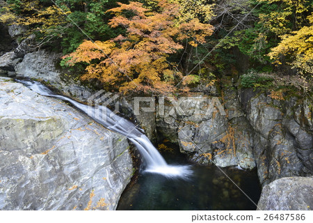 [Tenkawa Village Nara Prefecture] Autumn leaves of the Mitarai Valley 26487586