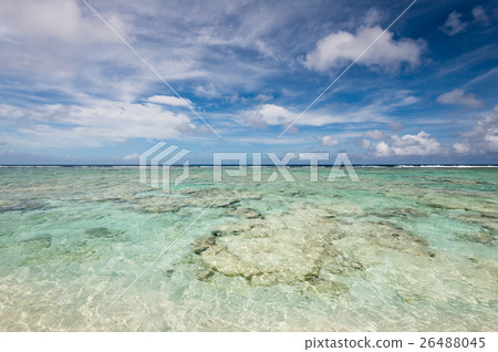 關島可可棕櫚園海灘 關島可可棕櫚園海灘 26488045