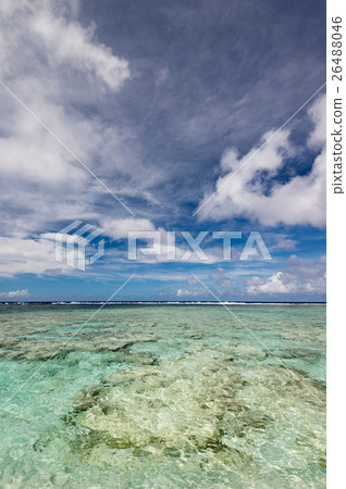 關島可可棕櫚園海灘 26488046