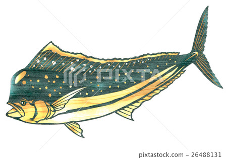 Fish illustration 26488131