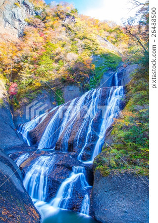 Fukuroda秋天秋葉 26488500