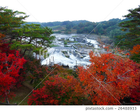 Falls of Sosaki of autumn leaves From Niigara observatory of Toyo 2 26488933
