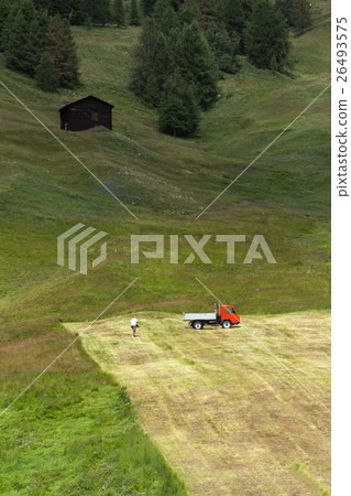 Man rakes hay on steep hillside, Livigno, Italy Man rakes hay on steep hillside, Livigno, Italy 26493575