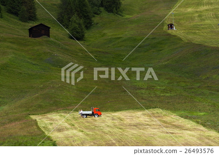 Man rakes hay on steep hillside, Livigno, Italy Man rakes hay on steep hillside, Livigno, Italy 26493576