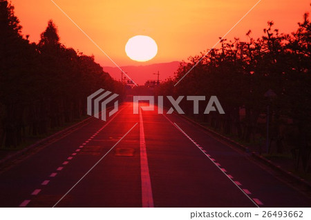 日出時的筆直道路 日出時的筆直道路 26493662